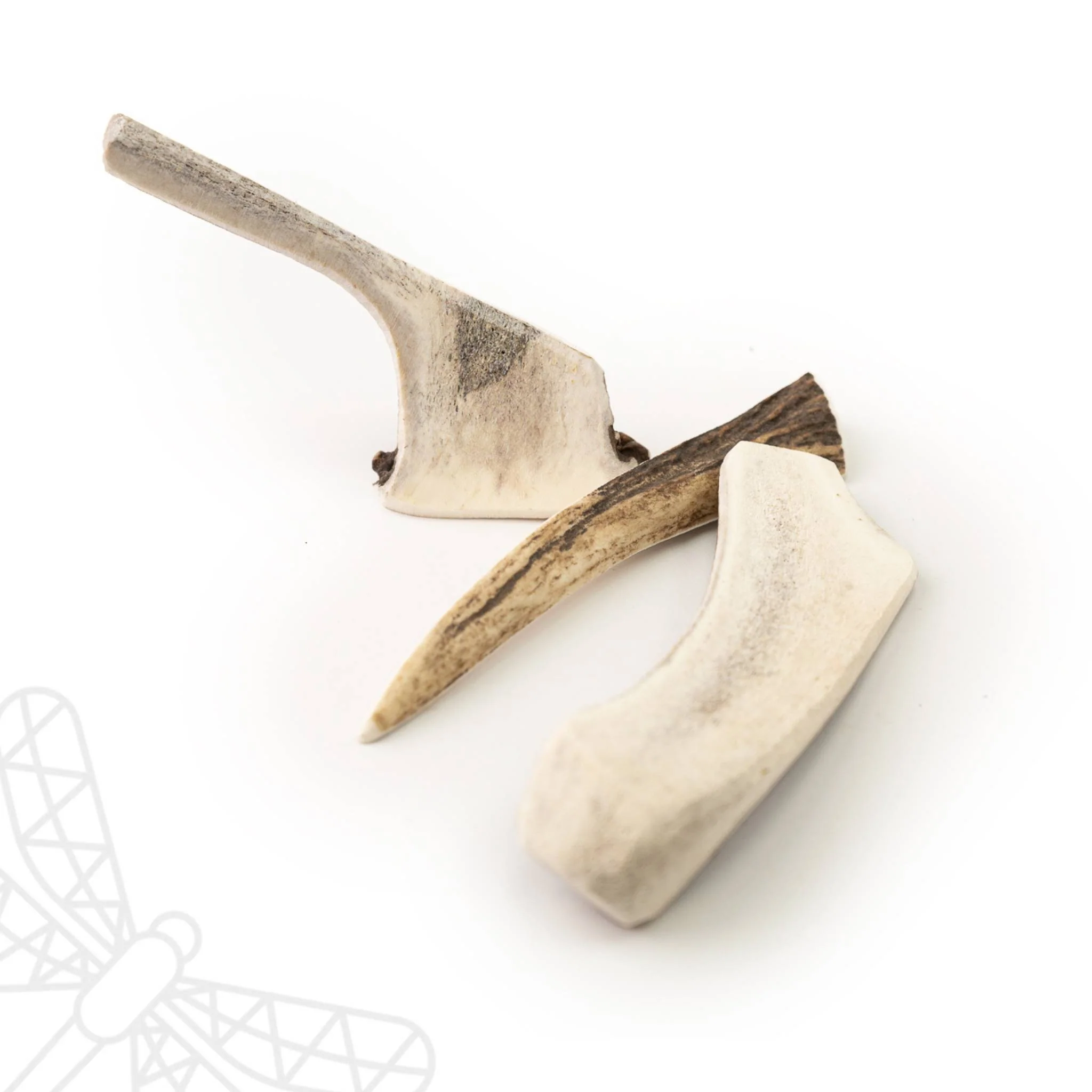 Split Deer Antler - Image 3