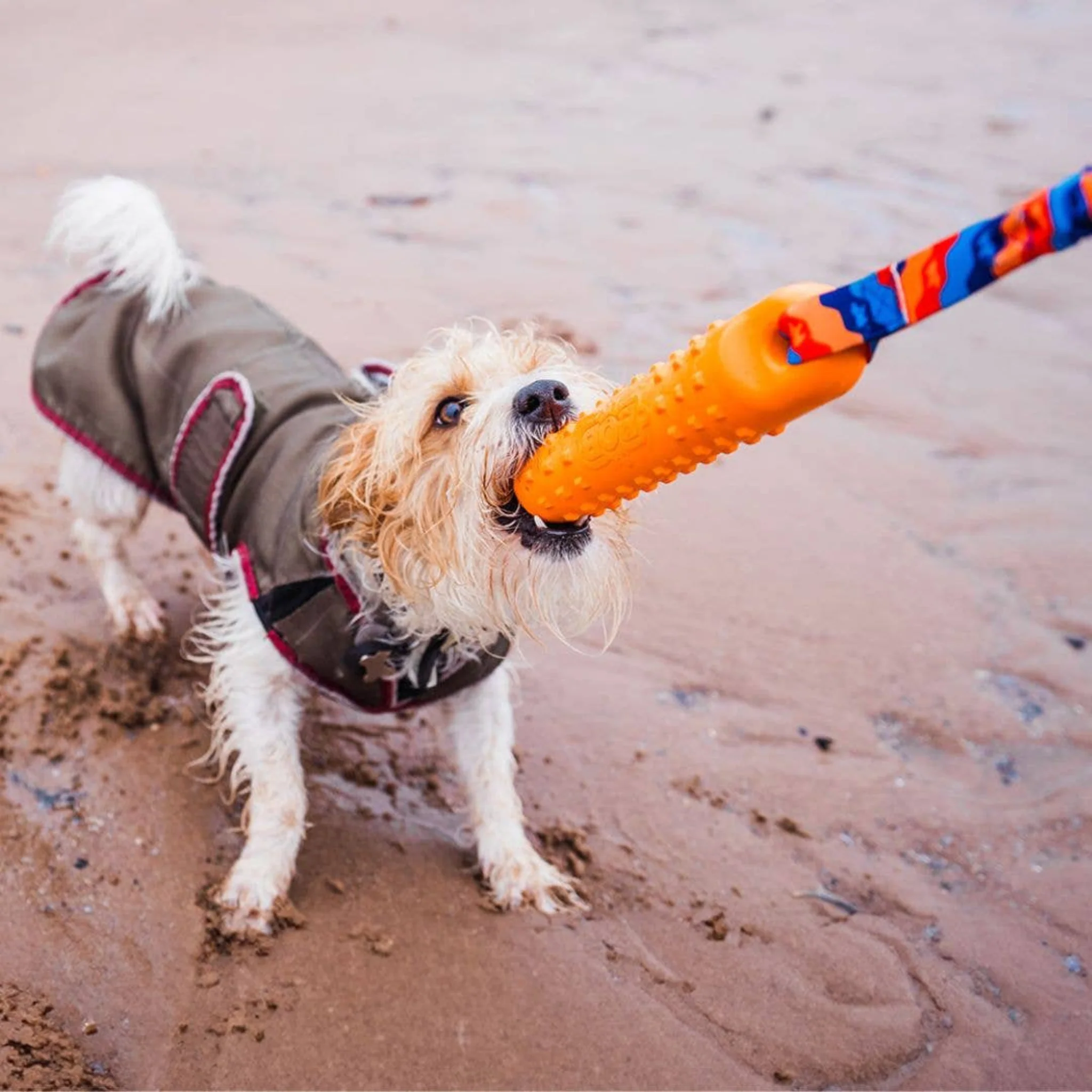 Tug-E-Nuff BOB: 3-in-1 Dog Dummy | Fetch, tug & float | - Image 4