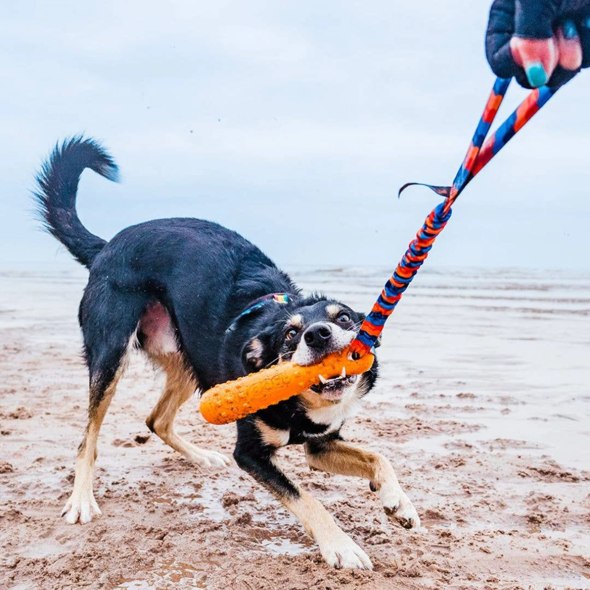 Tug-E-Nuff BOB: 3-in-1 Dog Dummy | Fetch, tug & float | - Image 5